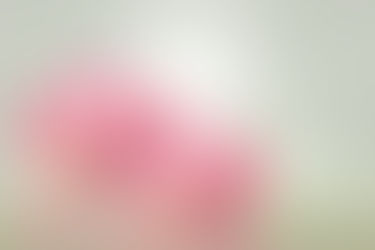 จับคู่ 10 ไอเทมทำบุญวันมาฆบูชา