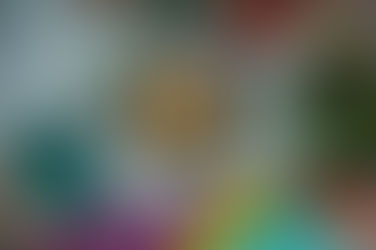 อกไก่ราดซอส  Tops’ Paw Friends