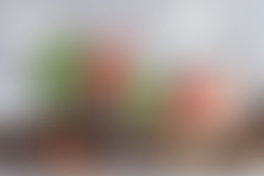 ทำไมใครๆก็เลือกกิน ออร์แกนิค ?