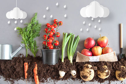 ทำไมใครๆก็เลือกกิน ออร์แกนิค ?