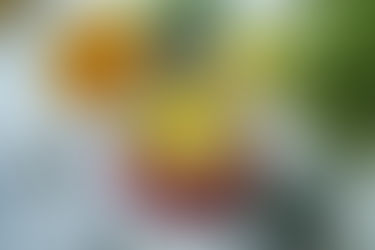 อกไก่ฉีกคลุกฟักทอง Tops’ Paw Friends