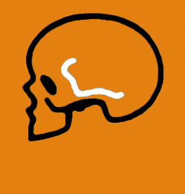 Osteology