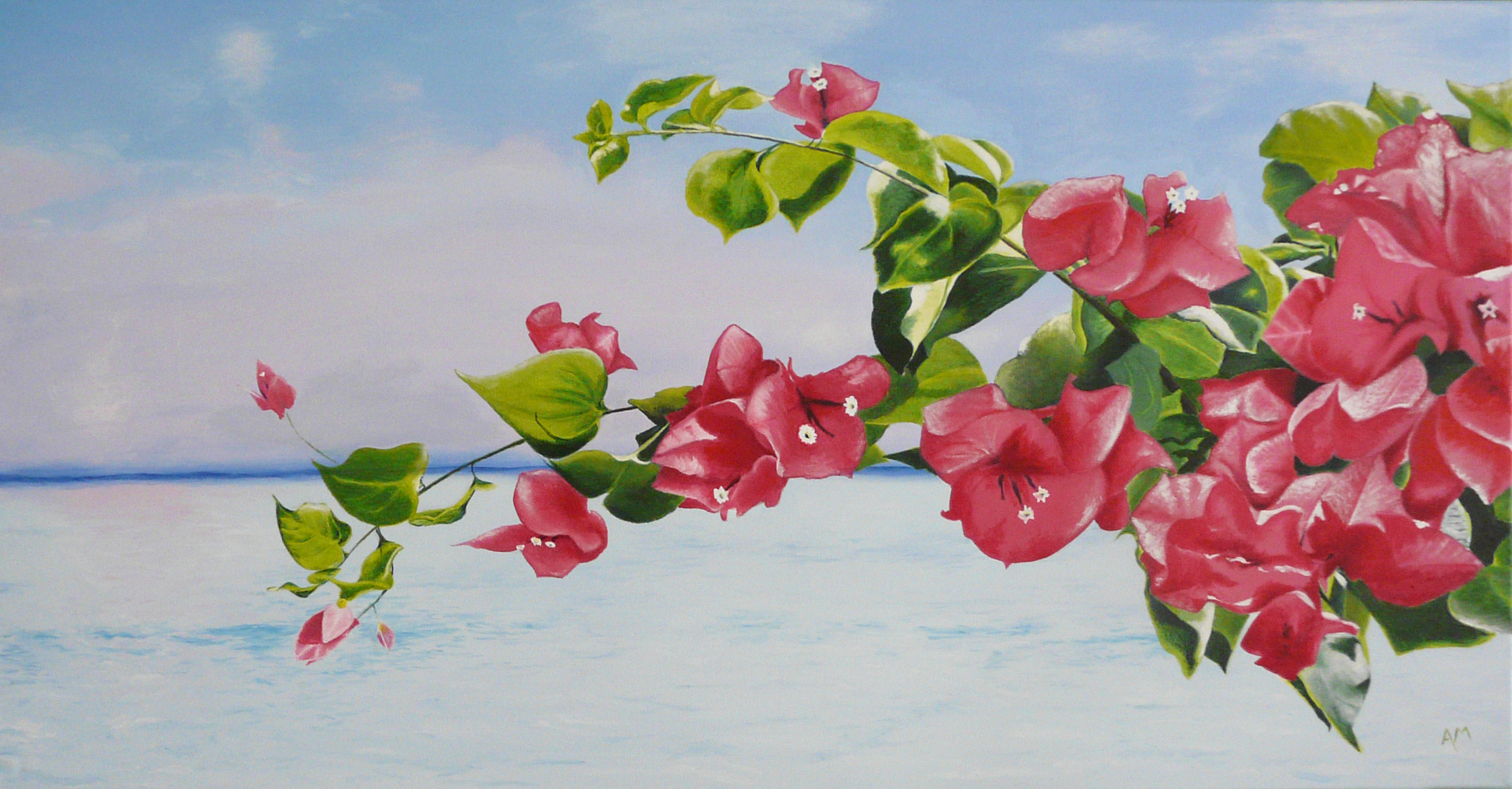 Bougainvilliers sur mer
