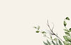 background-leafs4.jpg