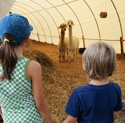 Attivita-per-bambini-in-Lunigiana-Toscana.jpg
