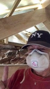 Covid or sawdust?