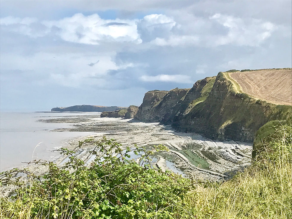 Somerset's Jurassic Coast