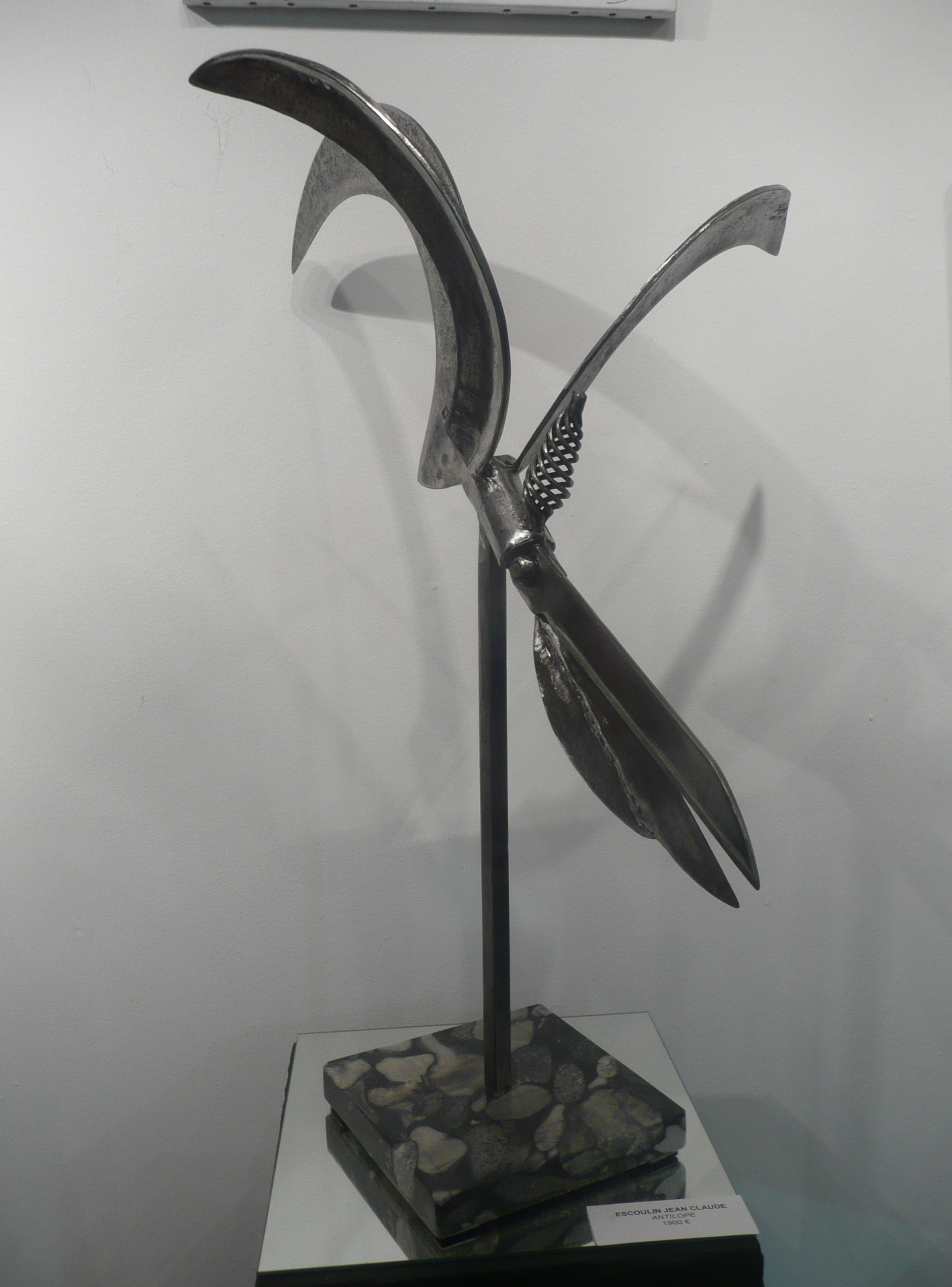 Barbara, le pélican