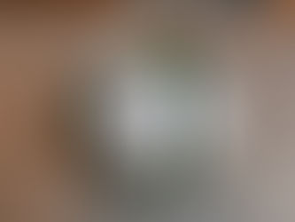 ワールドカップ応援しようWorld Cup