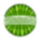 circular icon of a forest and field seen from above.png