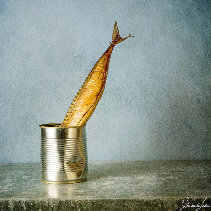 Stilleven met vis uit blik- serie De zee aan tafel