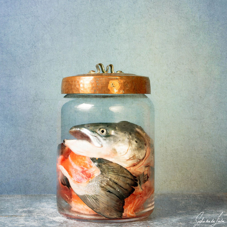 Stilleven met potvis in glazenpot- serie De zee aan tafel