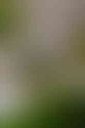 6L0A3375 copy 2