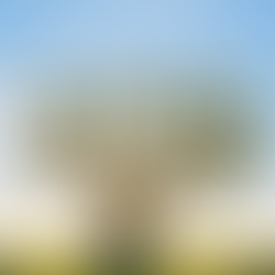 Let 2026 grow your life.