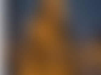 🎄🐱 When kittens become the Christmas tree… magic happens ✨