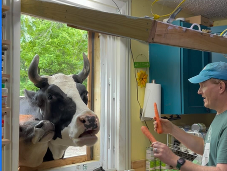 Maisie and Jenna love carrots