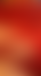 HAPPY CHINESE NEW YEAR OF THE HORSE 2026