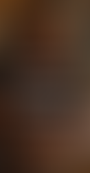 Two kings - One magical donkey...