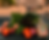 FarmsToGrow_img1_color.png
