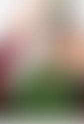 The Christmas Setup (2020)