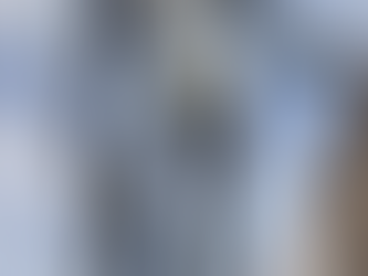 Fountain of Neptune, Bologna