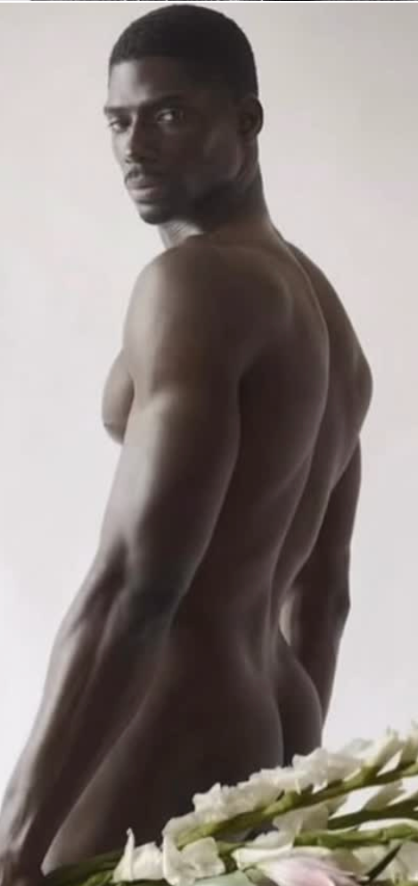 Portraits: 🌹🪻🌸🌺