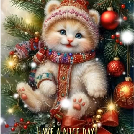 Good day 🩵Good vibes 🤍Have a nice day!🩵🤍