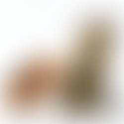 Once Upon a New Year