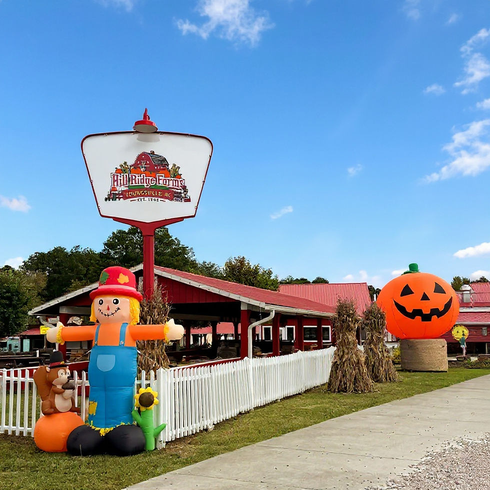 Fall Festival Enterance