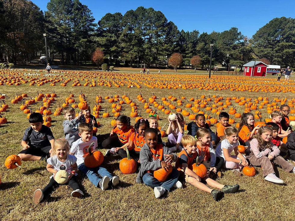 Children and adults sitting in a large pumpkin patch under sunny sky.
