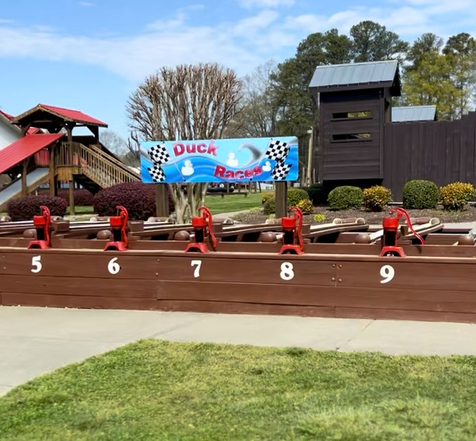 Duck Race game with numbered lanes and red ducks