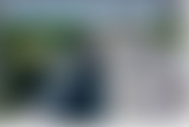 Impacts to Woodpark - LRT Stage 2  Look Ahead