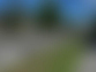 Woodpark: Growing Forward