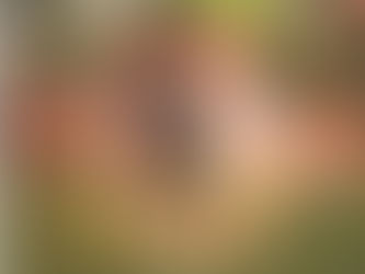 Lucca e Mateus – Explica Esse Rolê