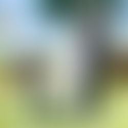 Rick e Giovani – Instante Mágico