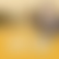 Léo Nascimento – Eu Caso