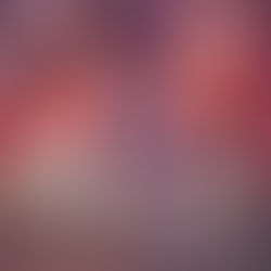 Vitor e Vitória – O Espinho Dessa Flor