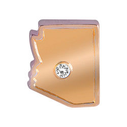 CH1448 - Gold Arizona Charm