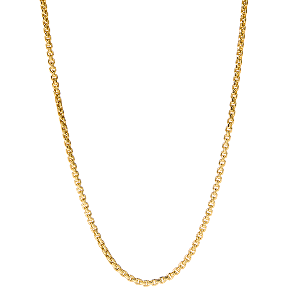 CN6076 Gold Dainty Box Chain 16"