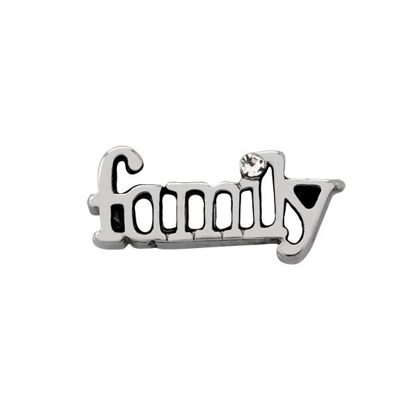 CH6065 - Silver "Family" W/Crystal Charm