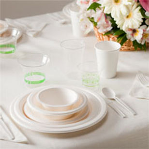 disposable-picnicware-med-pw2.jpg