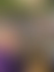 Getting ready for the Walk to End Alzheimer's