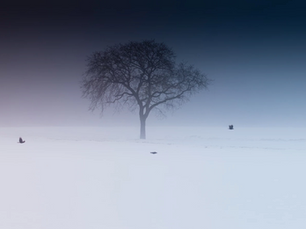 Seasonal Affective Disorder