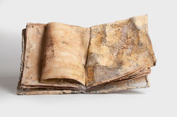 Rusty Book,2011.