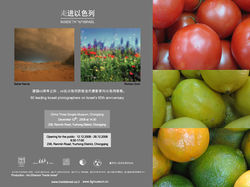 CHINA THREE GORGES MUSEUM 2008