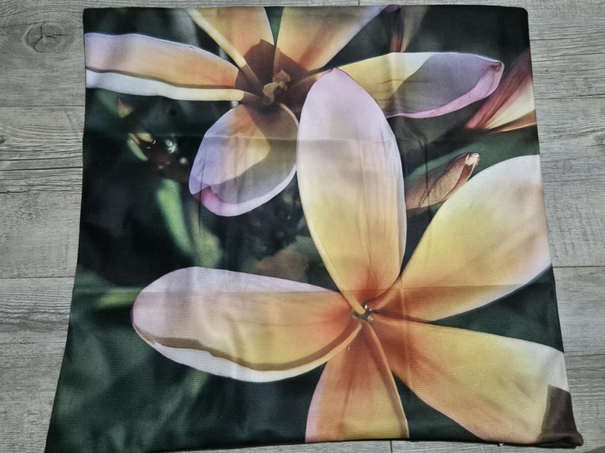 Frangipani