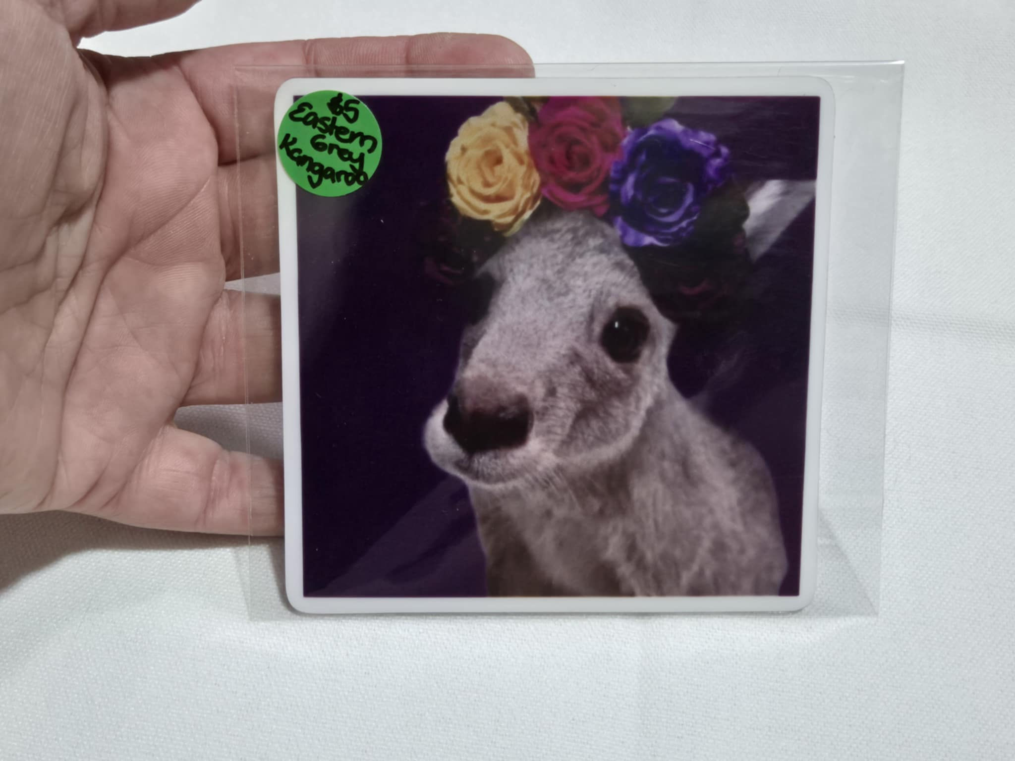 Eastern Grey Kangaroo