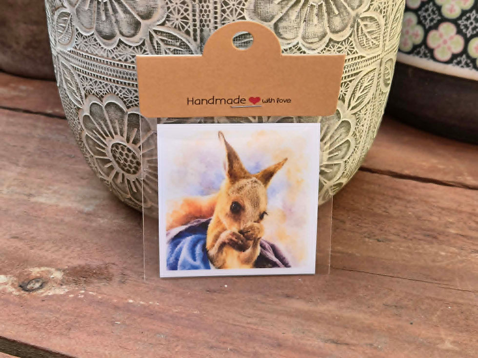 Thumbnail: Kangaroo's & Wallabies