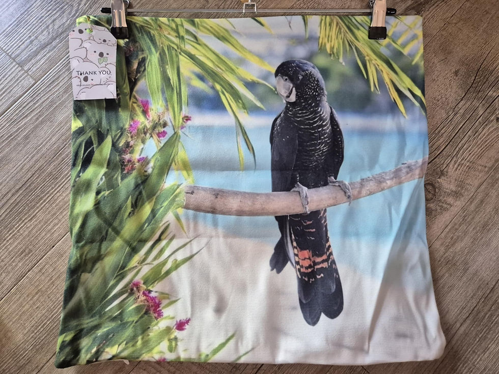 Thumbnail: Redtail Black Cockatoos