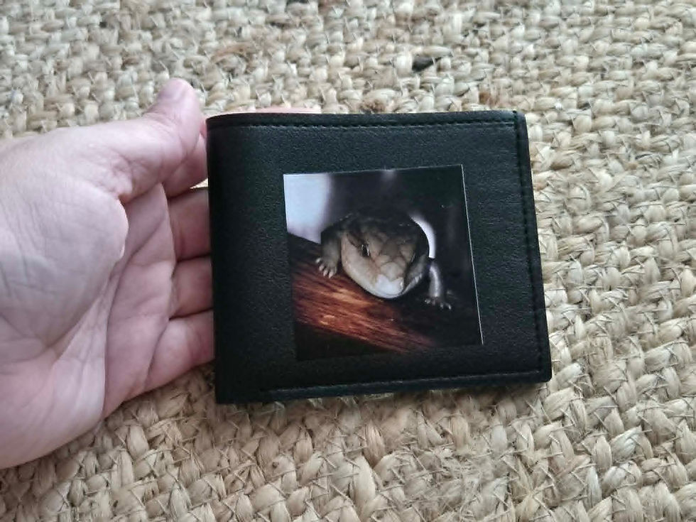 Thumbnail: Basic Black Wallet